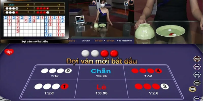 tan dung cau be trong cach choi xoc dia